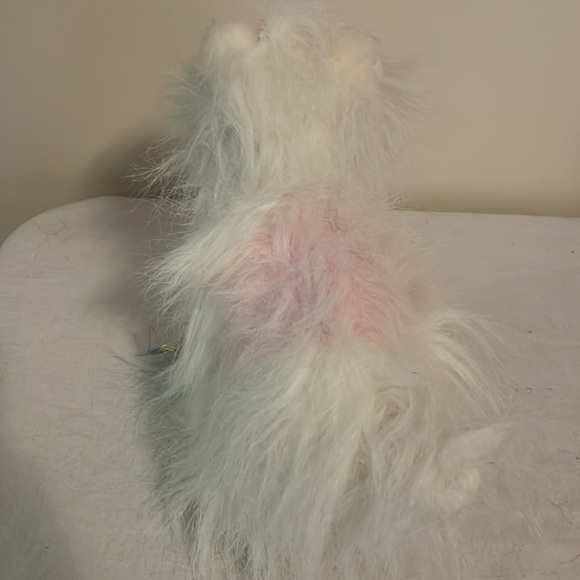 Ganz Webkinz Bundle of 5 Plush - Yorkie, Panda, Tree Frog, Rabbit, Chihuahua - Picture 11 of 11